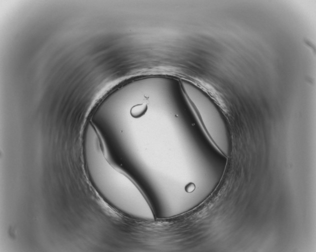 X0000095881184200801251134