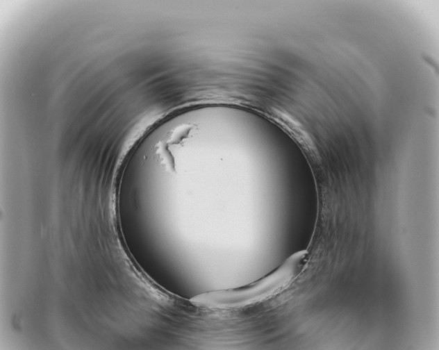 X0000095881188200801251134