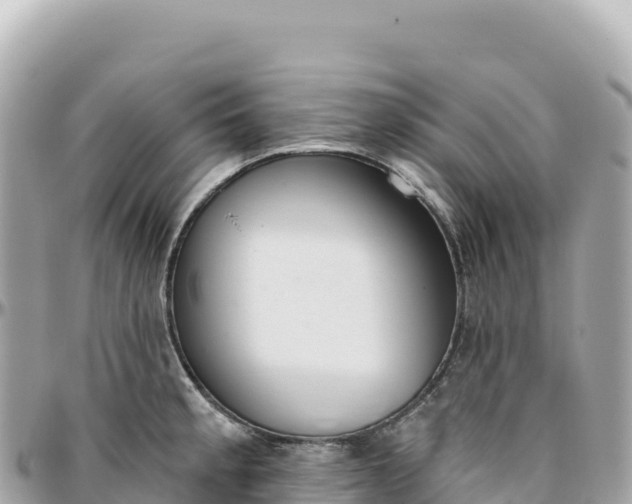 X0000095881189200801251134