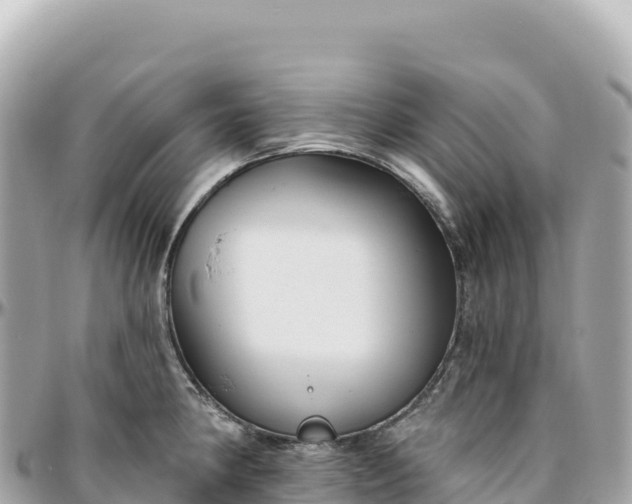 X0000095881190200801251134