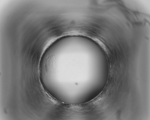 X0000095881191200801251133