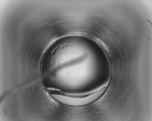 X0000095881192200801251133