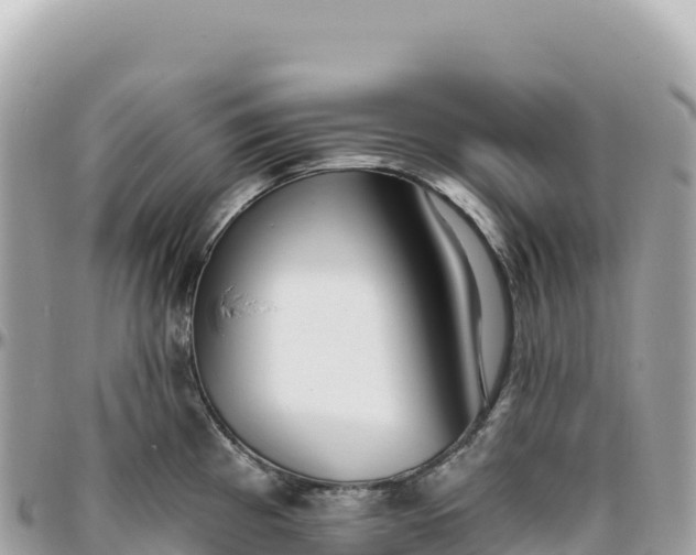 X0000095881193200801251133