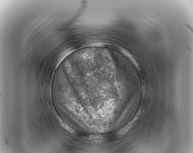 X0000095881194200801251133