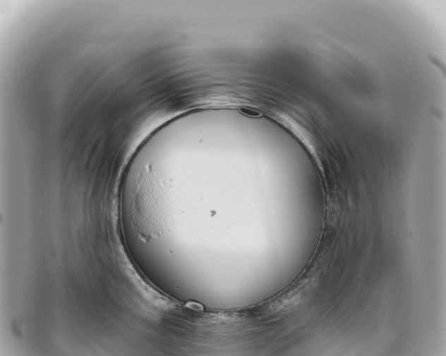 X0000095881195200801251133