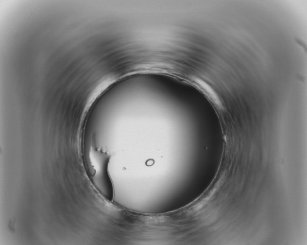 X0000095881196200801251133