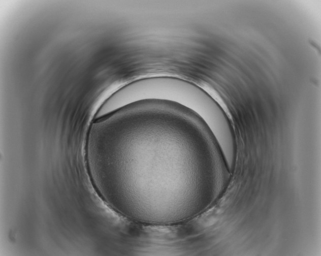 X0000095881197200801251133