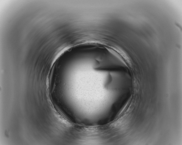 X0000095881198200801251133