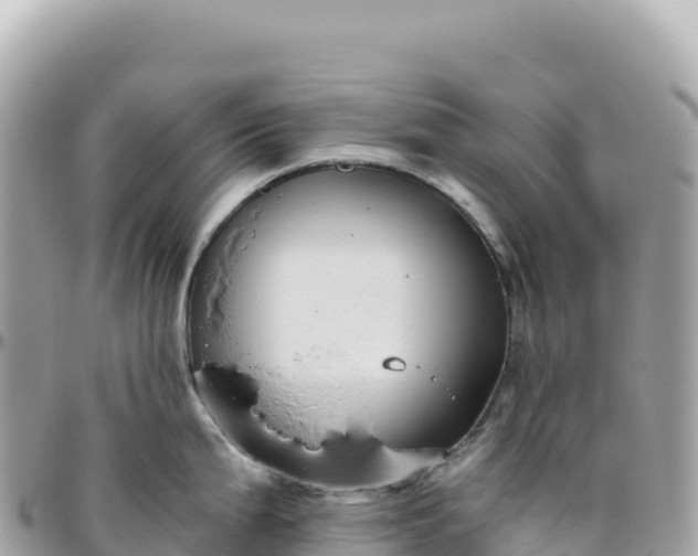 X0000095881199200801251133