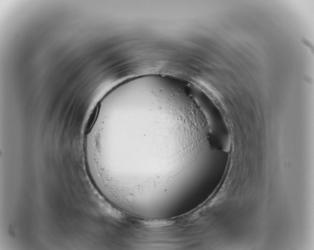 X0000095881200200801251133