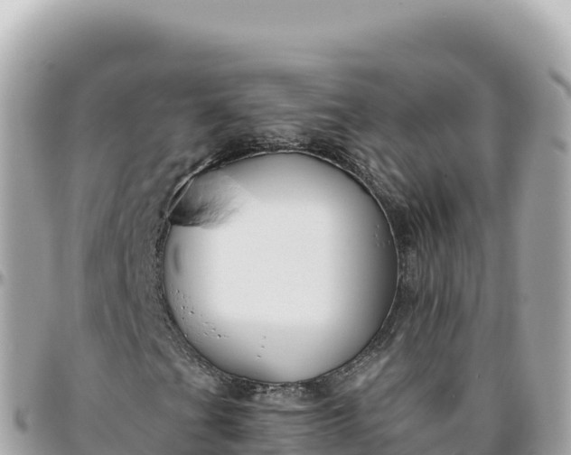 X0000095881201200801251133