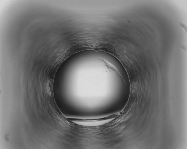 X0000095881202200801251133