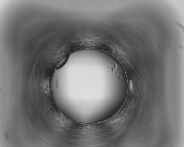 X0000095881203200801251133