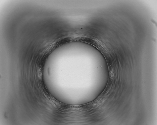 X0000095881204200801251133