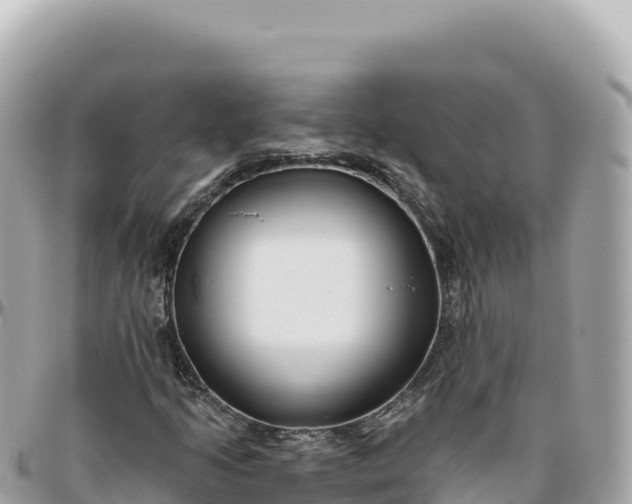 X0000095881205200801251133