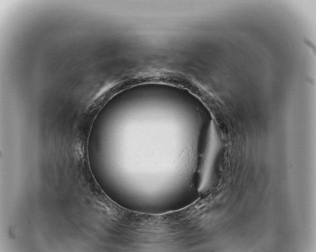 X0000095881206200801251133