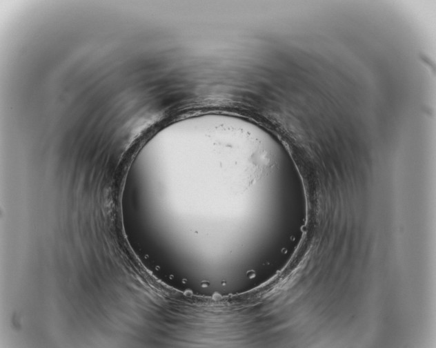 X0000095881210200801251133