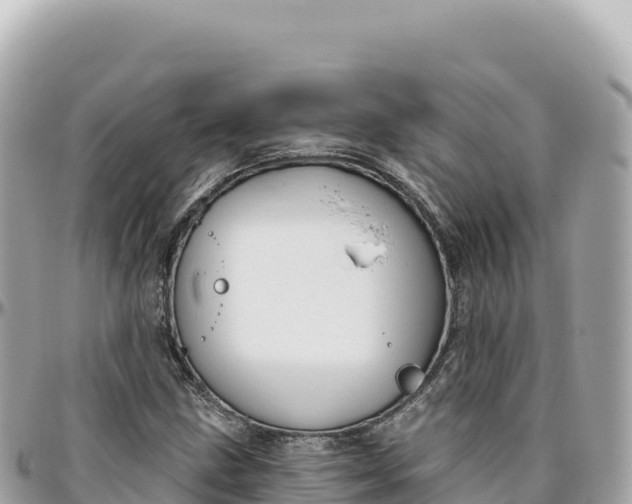 X0000095881211200801251133