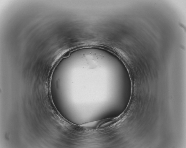 X0000095881212200801251133