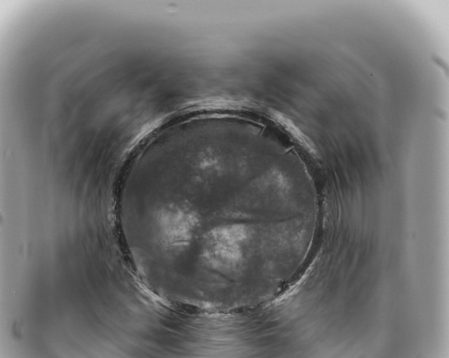 X0000095881213200801251133