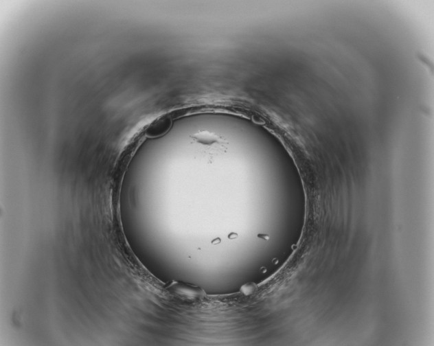 X0000095881214200801251133