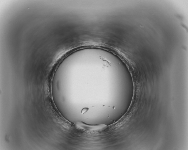 X0000095881215200801251133