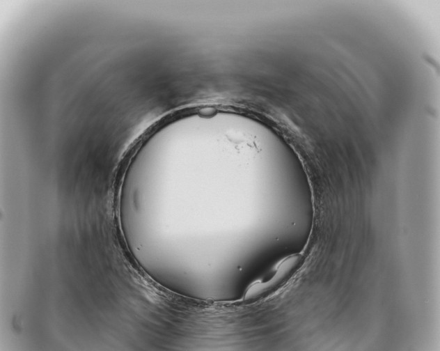 X0000095881216200801251133