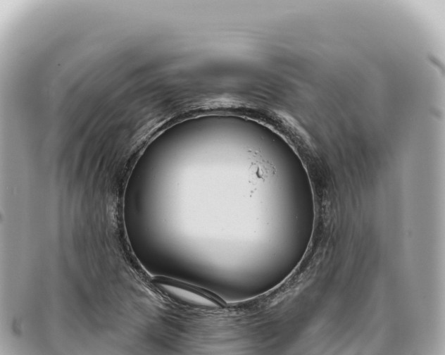 X0000095881217200801251133