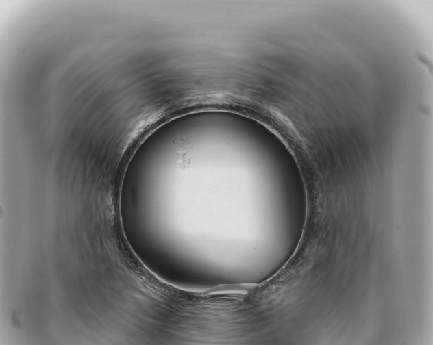 X0000095881218200801251133