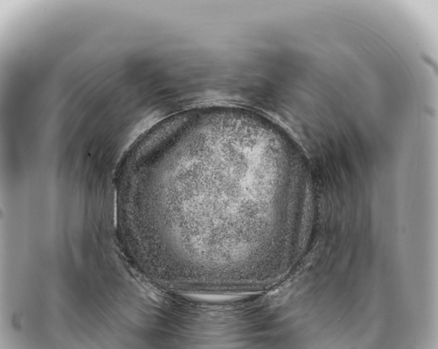 X0000095881219200801251133