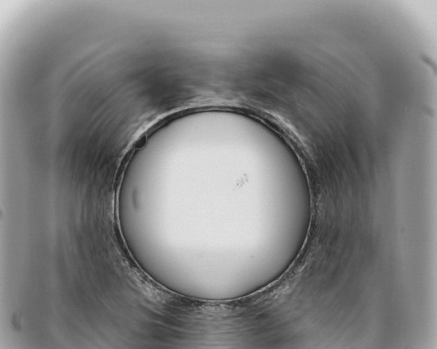 X0000095881220200801251133