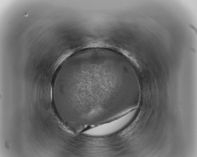 X0000095881221200801251133