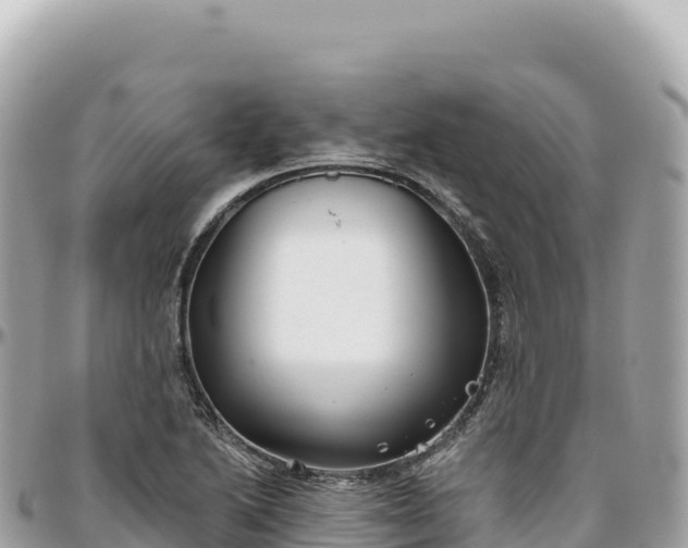 X0000095881222200801251133