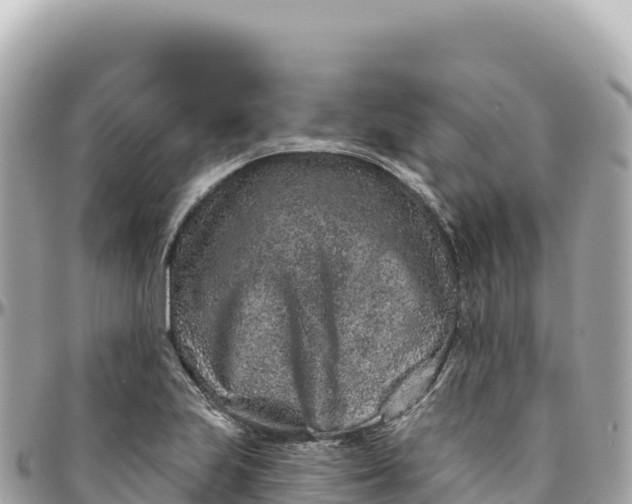 X0000095881223200801251133