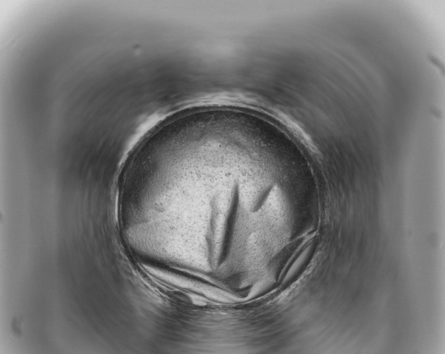 X0000095881224200801251133