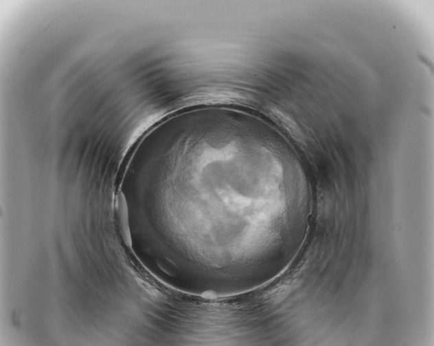 X0000095881226200801251133