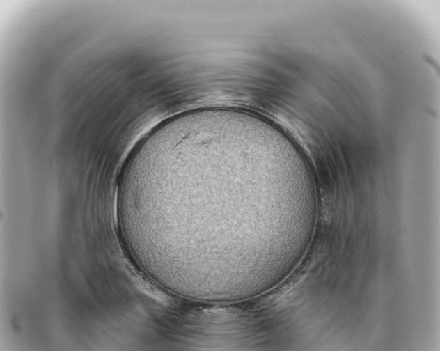 X0000095881227200801251133