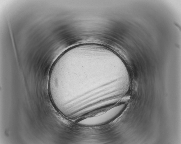 X0000095881228200801251133