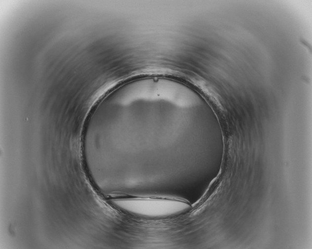 X0000095881229200801251133