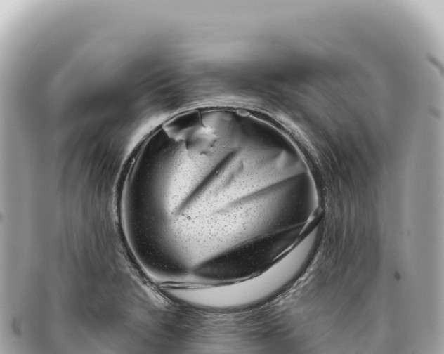 X0000095881230200801251133