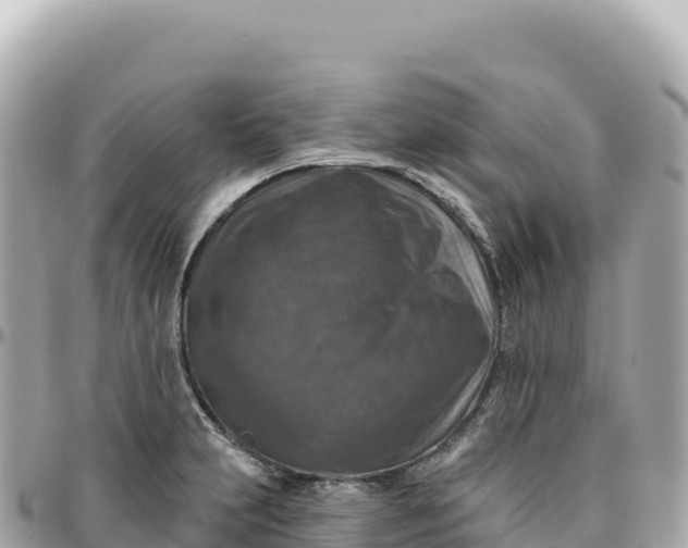 X0000095881231200801251133