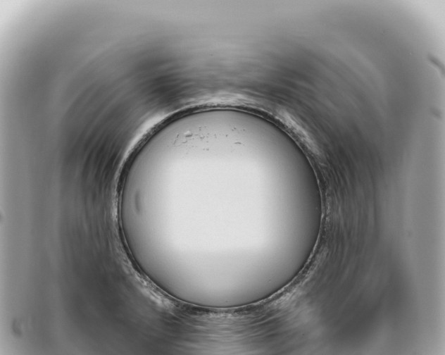 X0000095881232200801251133