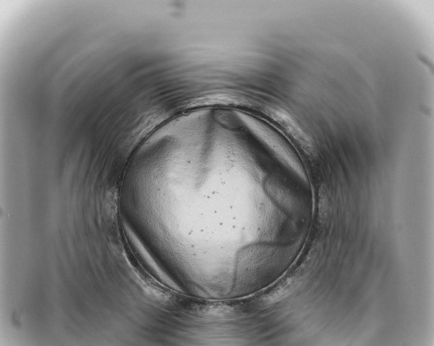 X0000095881233200801251133