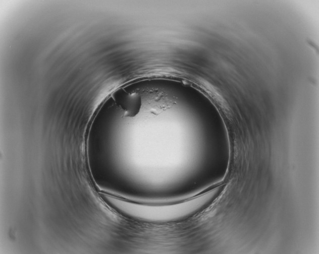 X0000095881234200801251133