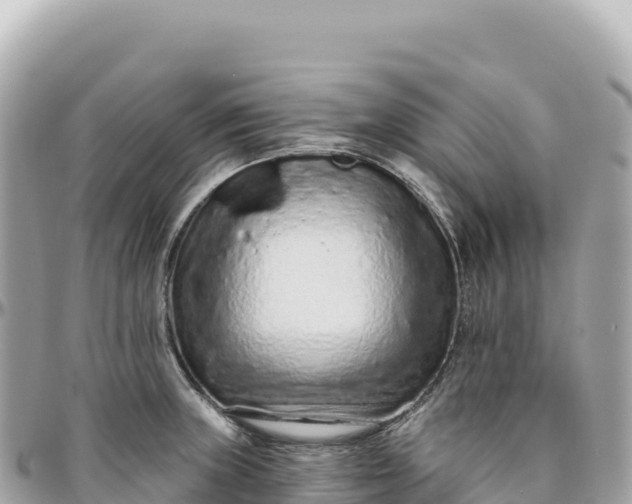 X0000095881235200801251133