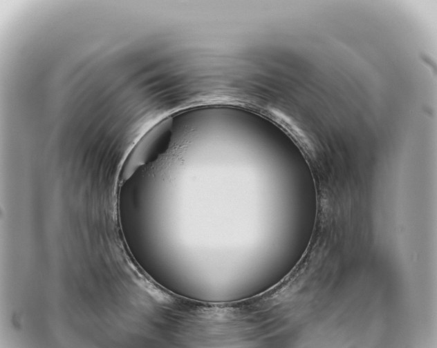 X0000095881236200801251133