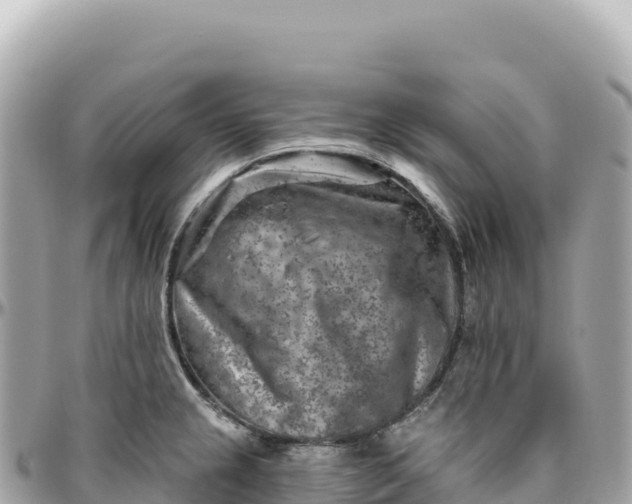 X0000095881237200801251133