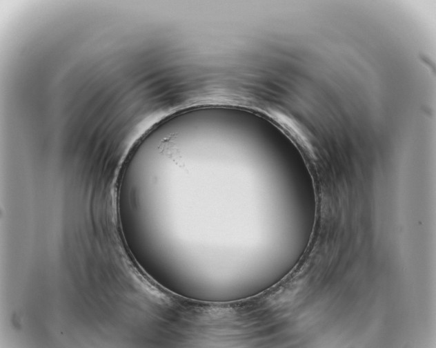 X0000095881238200801251133