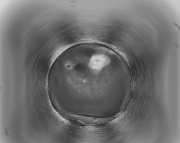 X0000095881239200801251133