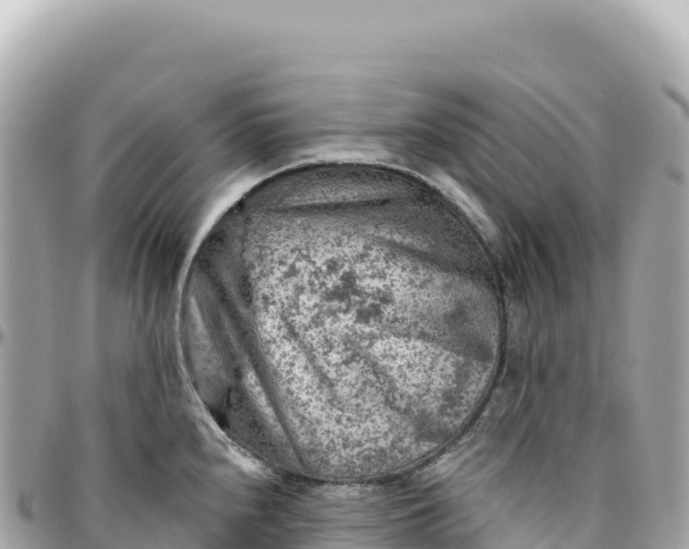 X0000095881240200801251133